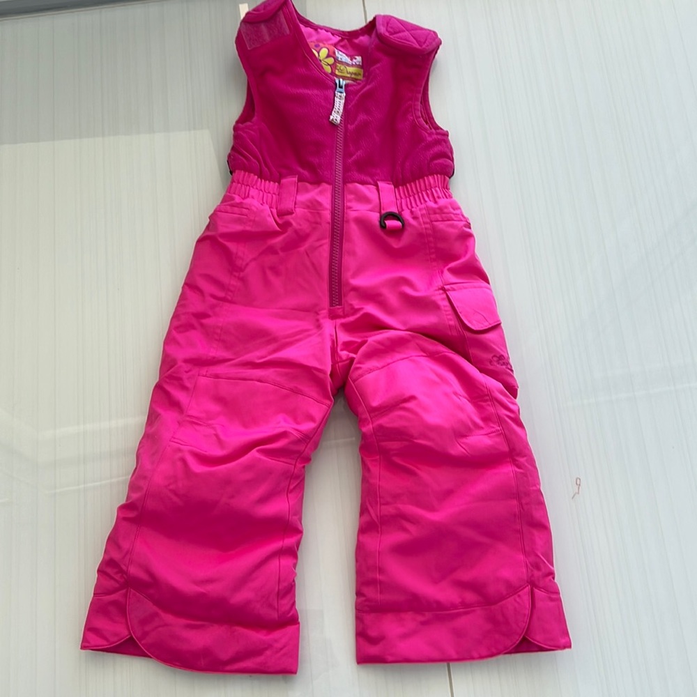 Snow dragons snow pants 2t